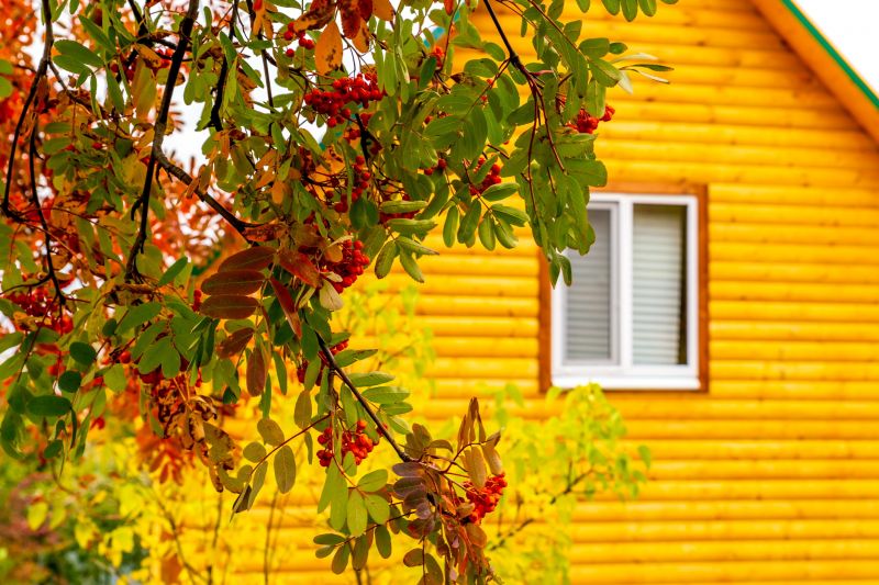 Vinyl Window Replacement